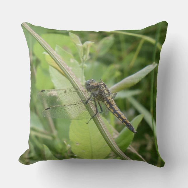 Coussin Black-tailed Skimmer Throw Pillow (Recto)