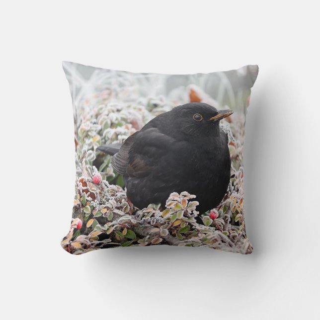 Coussin Blackbird d'hiver (Recto)
