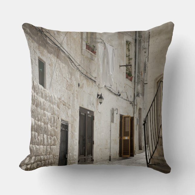 Coussin Blanchisserie accrochant pour sécher dans une (Recto)