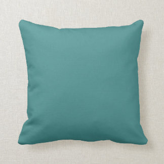 Coussin bleu clair