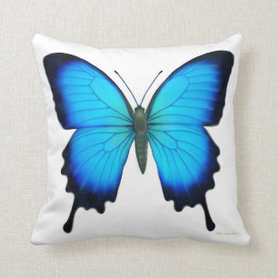 Coussin bleu de papillon de Papilio Ulysse