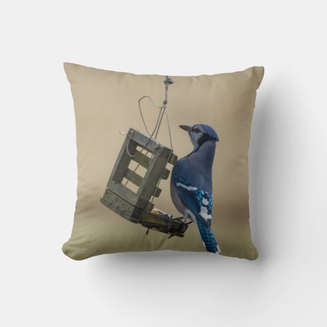 Coussin Bleu Jay (Recto)