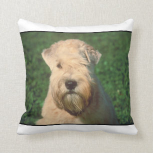 Coussin blond comme les blés doucement enduit de