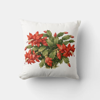 Coussin Blooming Red Christmas Cactus Plant 