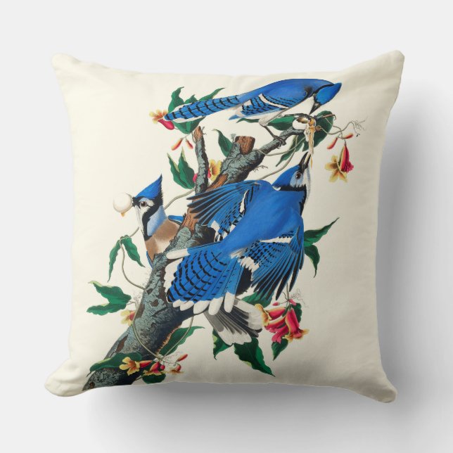 Coussin Blue Jays (Recto)