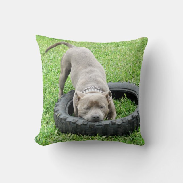 Coussin Blue Staffordshire Bull Terrier Temps de jeu. (Recto)