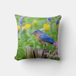 Coussin Bluebird peins on fence post in flower garden