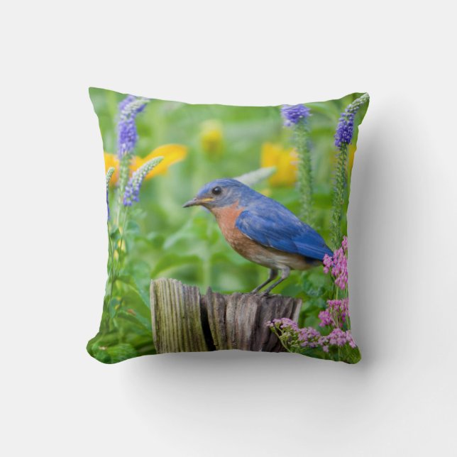 Coussin Bluebird peins on fence post in flower garden (Recto)