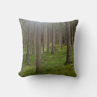 Coussin Bois ensoleillé - Vert forêt