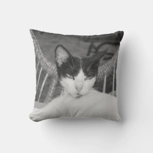 Coussin Bonjour, Meow...