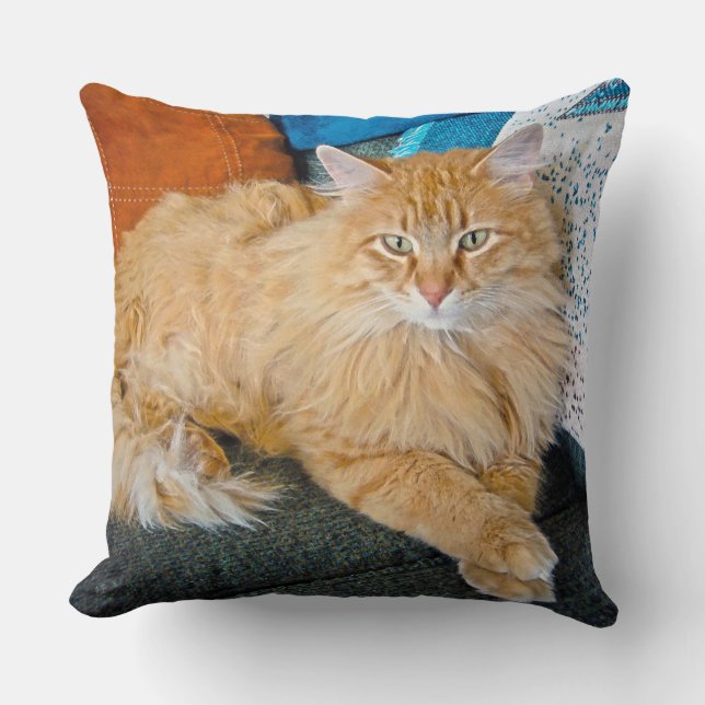 Coussin Boppy (Recto)