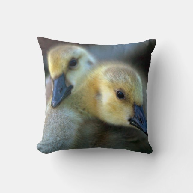 Coussin Bord du lac (Recto)