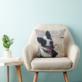 Coussin Bordure Collie sur la plage