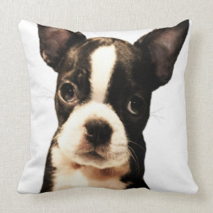 Coussin BoSTON TERRiER