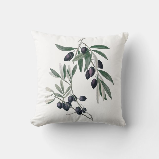 Coussin botanique d'olives (Recto)