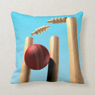 Coussin Boule de cricket frappant des guichets