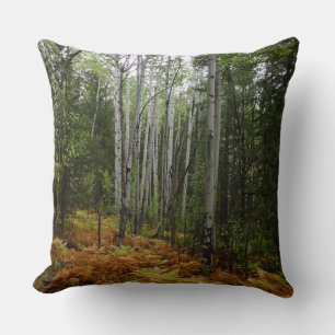 Coussin Bouleaux blancs et fougères d'automne dans les mon