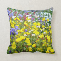 Bouttercups et autres Fleurs sauvages