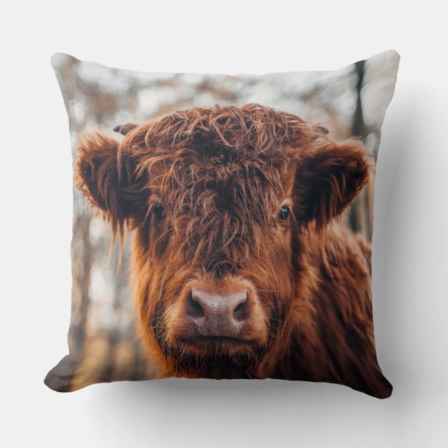 Coussin Bovins des Highlands (Recto)