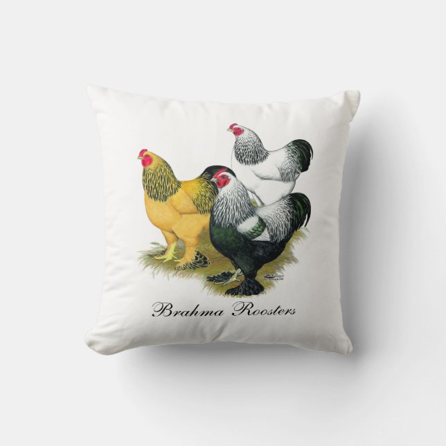 Coussin Brahmas trois coqs (Recto)