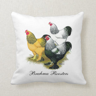 Coussin Brahmas trois coqs