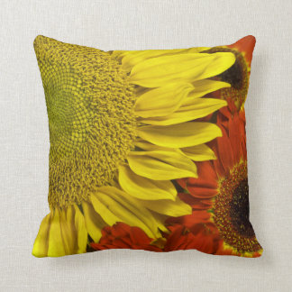 Coussin brillant d'automne