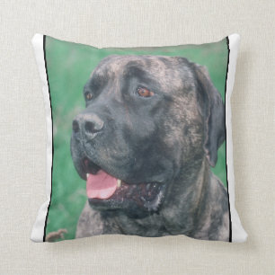 Coussin Brindle de mastiff
