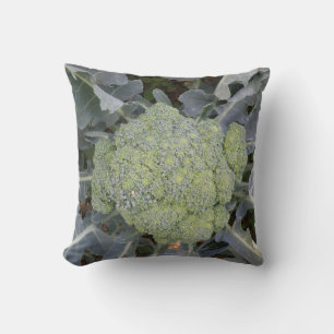 Coussin Broccoli