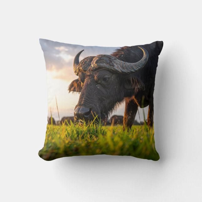 Coussin buffle (Recto)