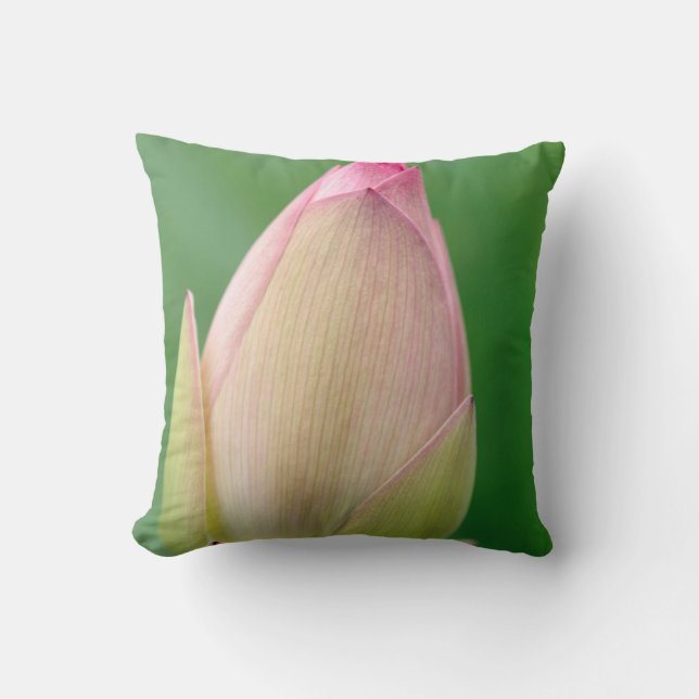 Coussin Bulbe Lily de l'eau non ouverte, Durban Botanique (Recto)