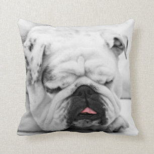 Coussin Buldog endormi