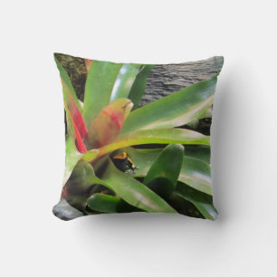 Coussin Cachage de grenouille en Plante
