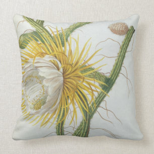 Coussin Cactus : Cierge, Plantae Selectae" 175 de Trew de