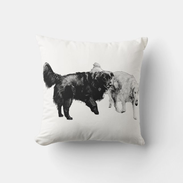 Coussin Camarades De Nuit (Recto)