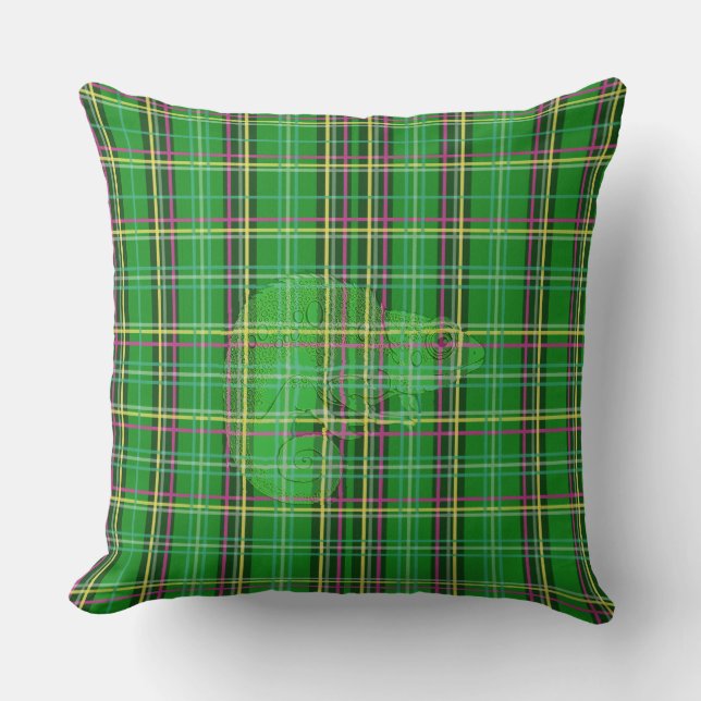 Coussin Caméléon de plaid (Recto)