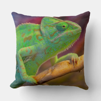 Coussin Caméléon vert