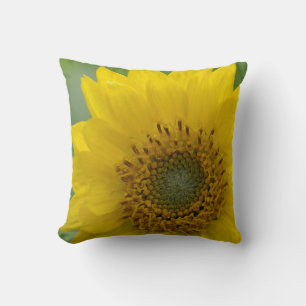 Coussin Canada, Colombie-Britannique, île de Vancouver 7