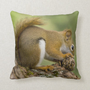 Coussin Canada, Nouvelle-Écosse, Halifax. Jardins publics,