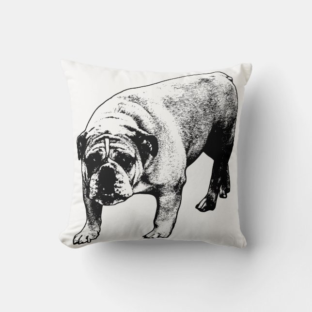 Coussin Canapé Snowfall Calme (Recto)