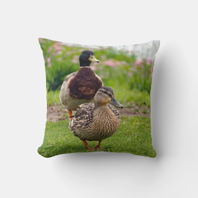 Coussin Canard Mallard Pair (Recto)