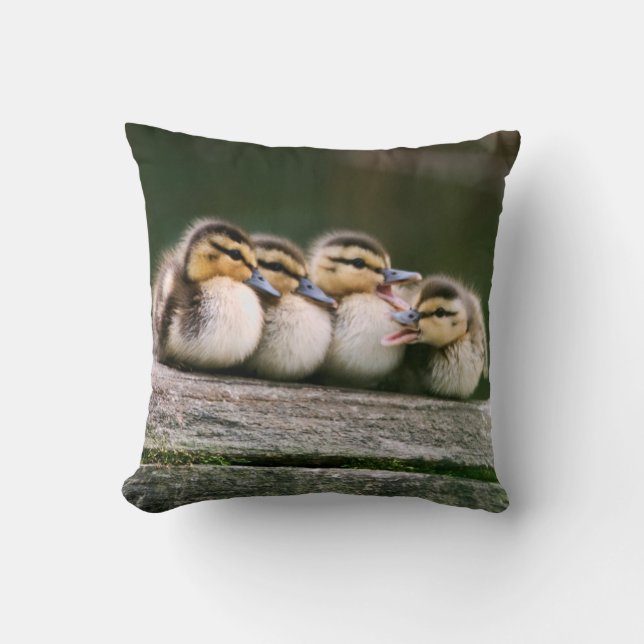 Coussin Canards de bébé (Recto)