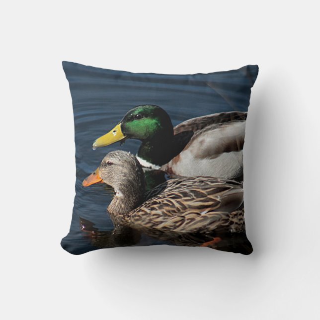 Coussin Canards de Mallard (Recto)