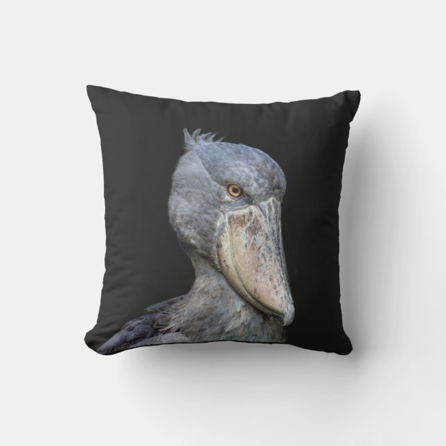 Coussin Caoutchouc (Recto)