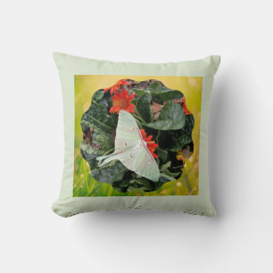 Coussin Captivant Luna Moth