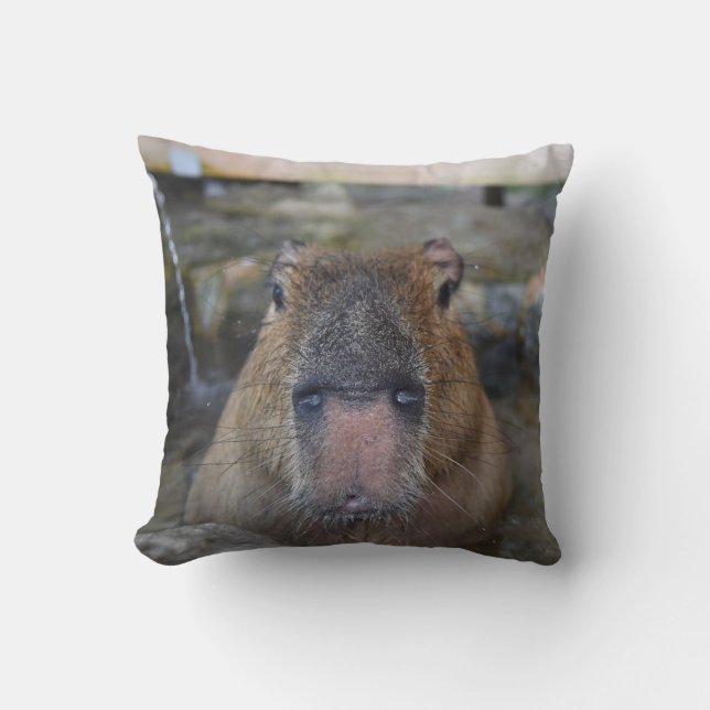 Coussin Capybara japonais de source thermale (Recto)