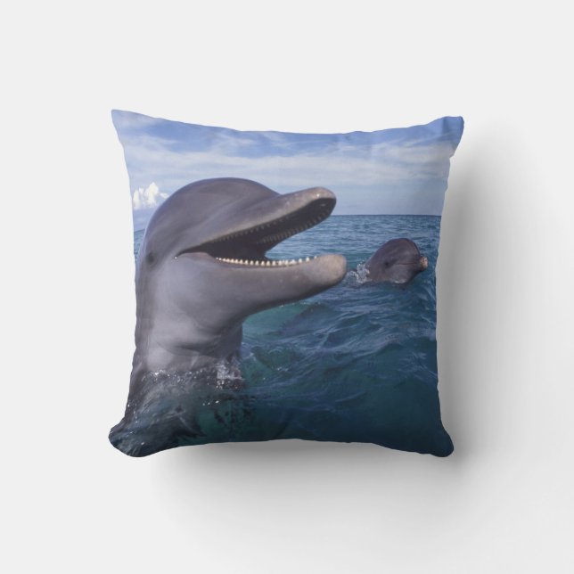 Coussin Caraïbes, Grand dauphin (Recto)