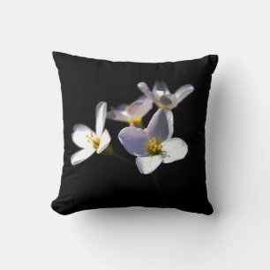 Coussin Cardamine Pratensis Fleurs tpcn