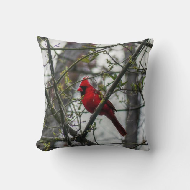 Coussin Cardinal (Recto)