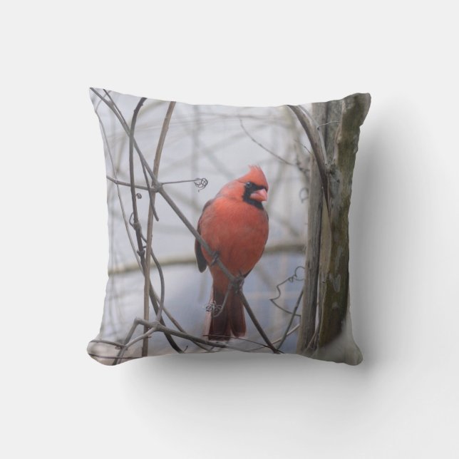 Coussin Cardinal dans le brouillard ! (Recto)