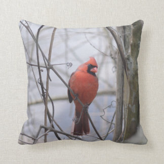 Coussin Cardinal dans le brouillard !